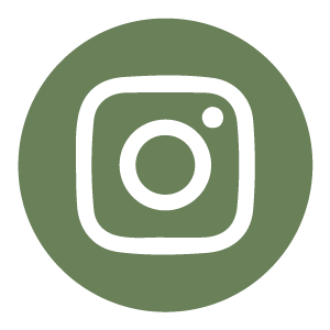 Síguenos en
Instagram